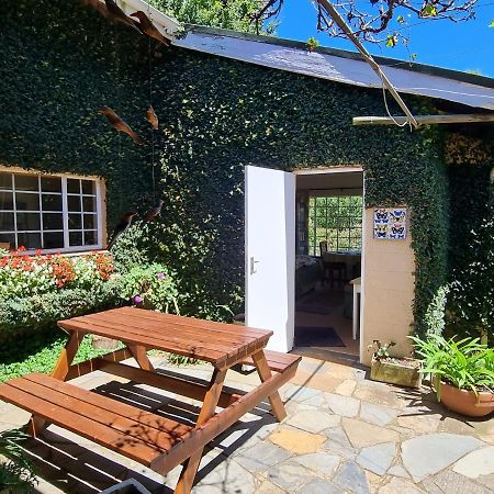 Yellowwood Cottage Himeville Dış mekan fotoğraf