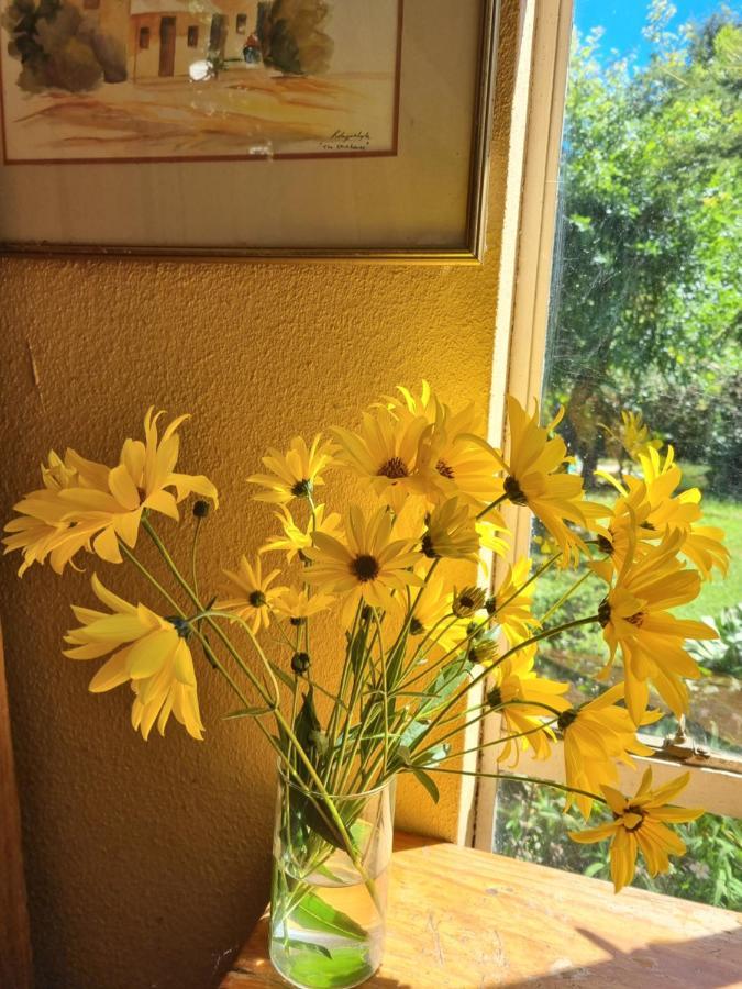 Yellowwood Cottage Himeville Dış mekan fotoğraf
