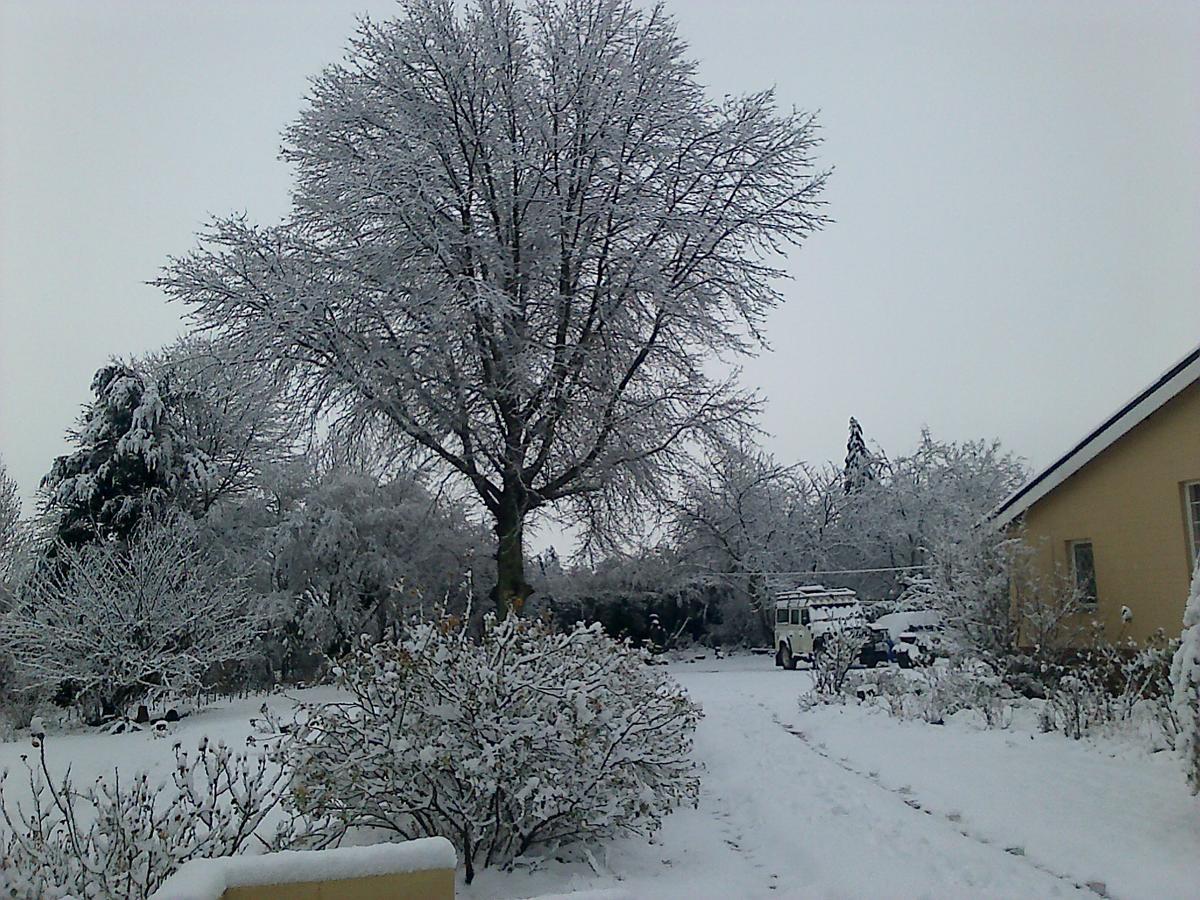 Yellowwood Cottage Himeville Dış mekan fotoğraf